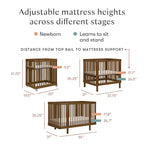 Babyletto Pogo 8-in-1 Convertible Crib with All-Stages Conversion Kits