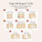 Babyletto Pogo 8-in-1 Convertible Crib with All-Stages Conversion Kits