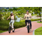GoPowerBike GoVolt sklopivi električni bicikl | Otvorena kutija