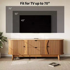 Black/Brown Mid Century TV Stand with 2 Drawers, for 1 Room